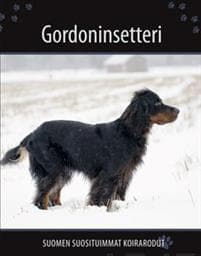 Gordoninsetteri