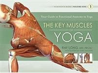 Key Muscles of Yoga: Your Guide to Functional Anatomy in Yoga