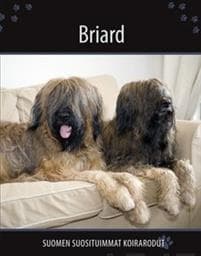Briard