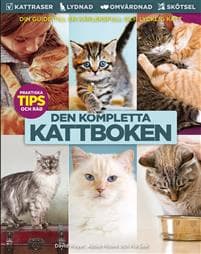 Kattboken : från A till Ö