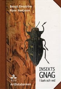Insektsgnag i bark och ved