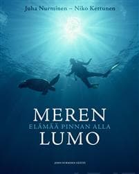 Meren lumo