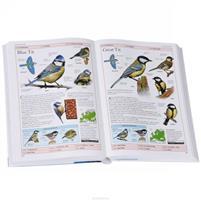 RSPB Birds of Britain and Europe