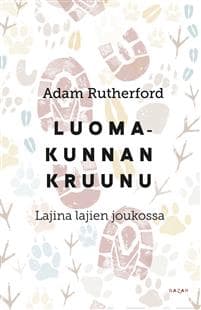Luomakunnan kruunu