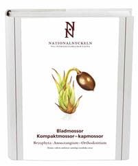 Bladmossor : kompaktmossor - kapmossor. Bryophyta : anoectangium - orthodontium