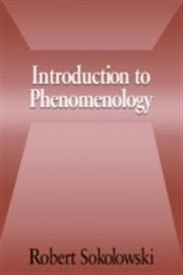 Introduction to Phenomenology