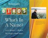 Birds: What's In A Name?