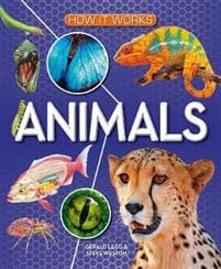 How It Works: Animals