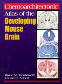 Chemoarchitectonic Atlas of the Developing Mouse Brain