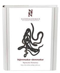 Stjärnmaskar - Slemmaskar. Sipuncula - Nemertea