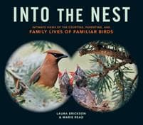 Into the Nest