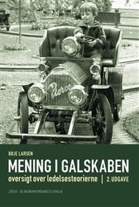 Mening i galskaben