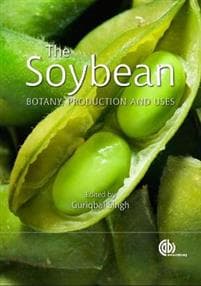 Soybean