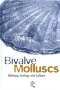 Bivalve Molluscs
