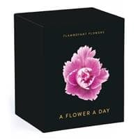 Flamboyant Flowers Perpetual Calendar
