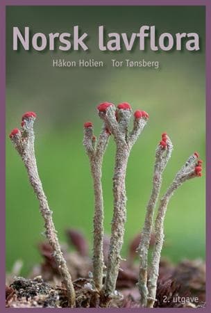 Norsk Lavflora