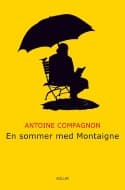 En sommer med Montaigne