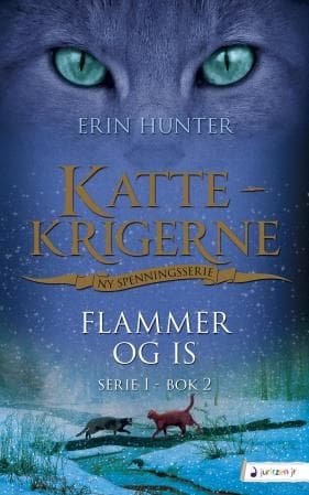 Flammer og is
