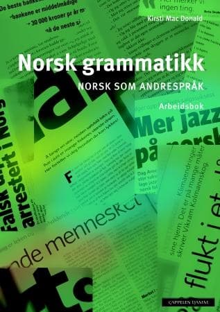 Norsk grammatikk