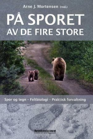 På sporet av de fire store