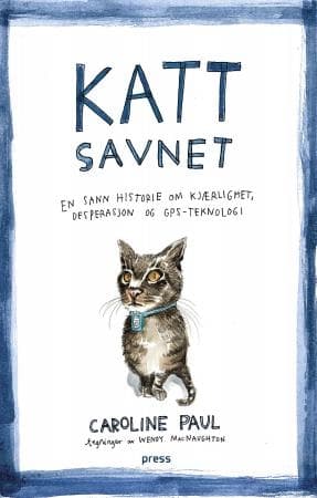 Katt savnet
