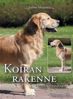 Koiran rakenne
