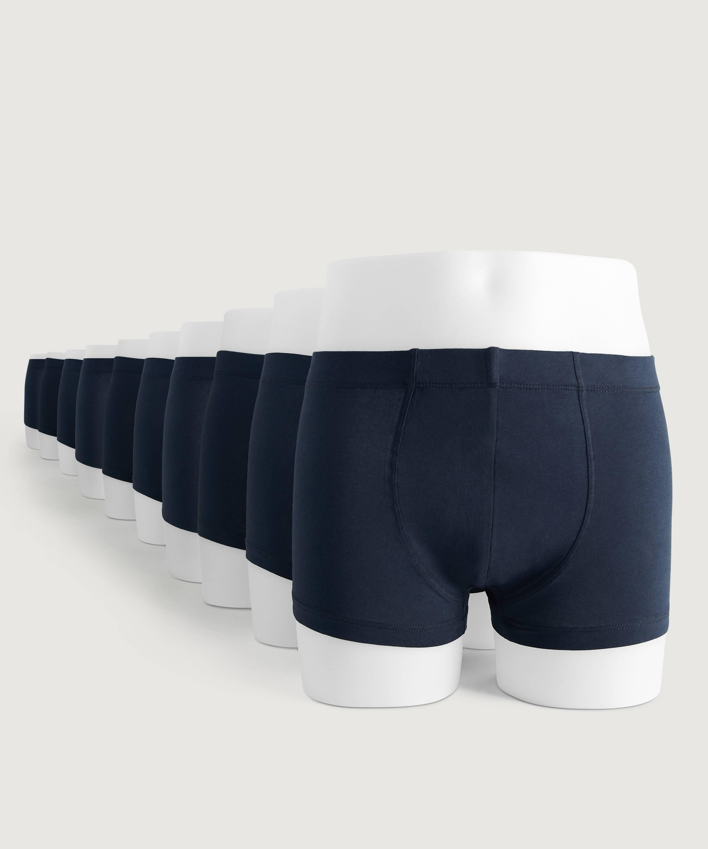 Boxershorts 10-pack, Adam