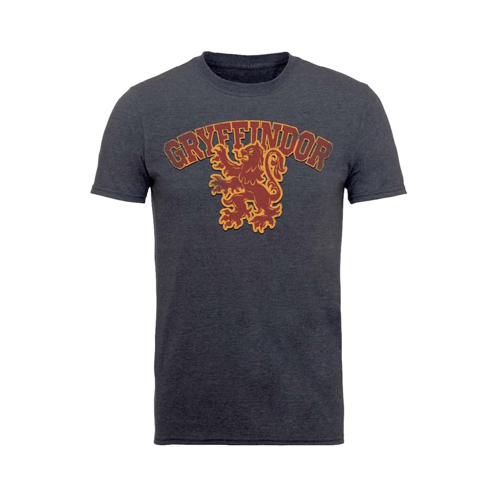 HARRY POTTER - T-SHIRT, GRYFFINDOR SPORT