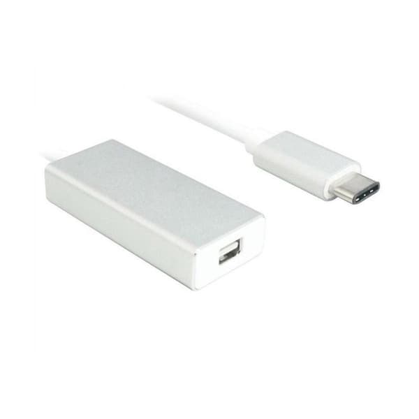 Secomp 12.99.3225 0,1m USB C Mini DisplayPort Sølv, Hvid videokabeladapter