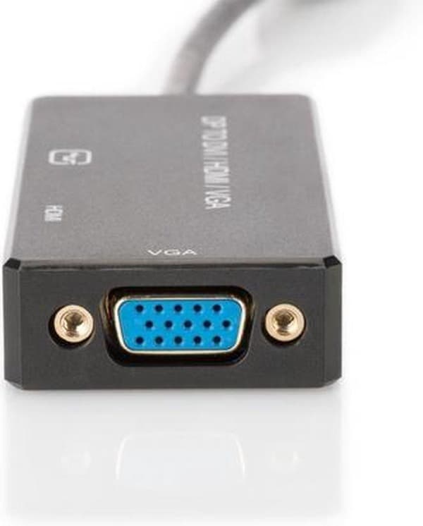 Ansmann Coil Over Kit 340418002PLUG DisplayPort till 1in. 3 omvandlarkabel svart