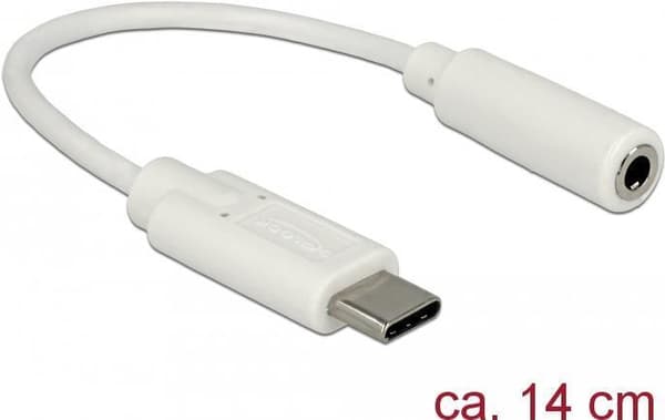 DeLOCK - Lydadapter - audio/USB - USB-C (M) til stereo mini-jackstik (W) - 14 cm - hvid (65913)