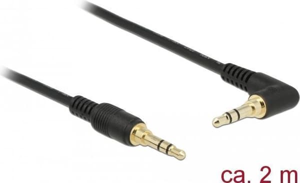 DeLOCK - lydkabel - stereo mini jack stik (M) lige til stereo mini jack stik (M) vinklet - 2,0 m - sort (85568)