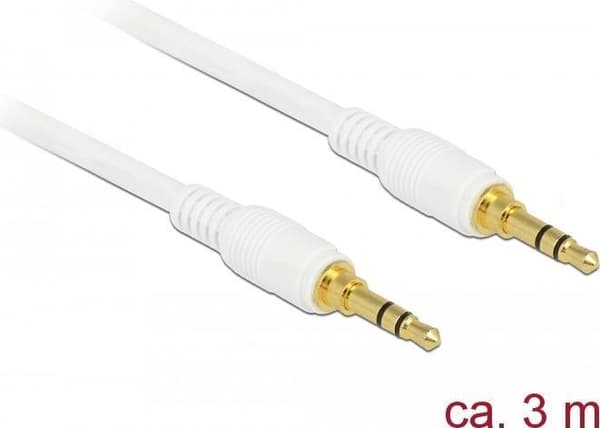 DeLOCK - ljudkabel - stereo minijackplugg (M) till stereo minijackplugg (M) - 3,0m - vit (85552)