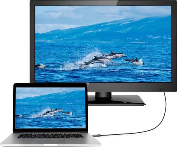 SpeaKa Professional USB-C® Anslutningskabel USB-C®-kontakt, USB-C®-kontakt 10,00 m Svart SP-9505620 TPE-mantel USB-C-skärm