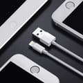 Miniatyrbild 5 av 6: USB-A - Lightning MFI-kabel 1,8m, certifierad vit