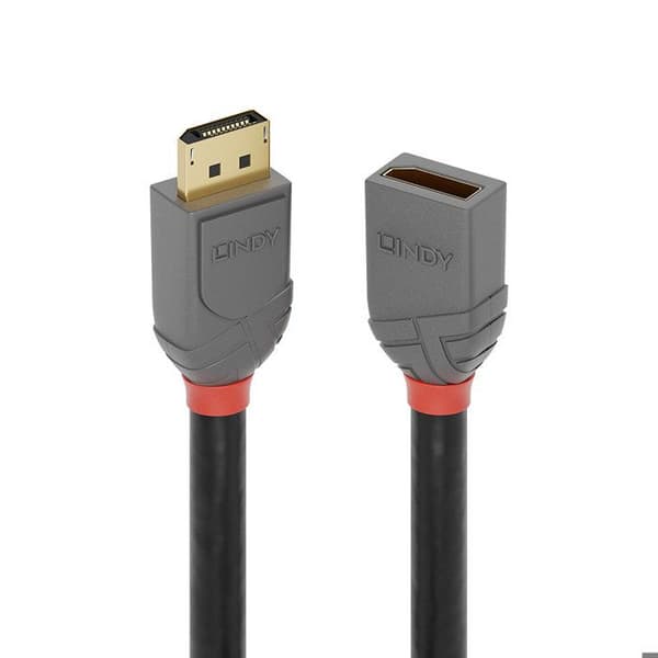 Rallonge DisplayPort - LINDY - 36495 - 0,5m - Trippla skärmad - Förzinkad koppar