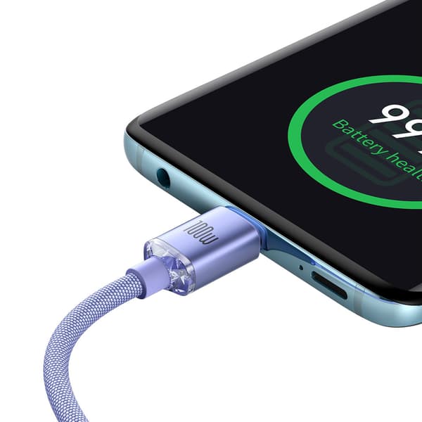 Kabel til hurtig opladning og dataoverførsel USB-C USB-C 100W 2m lilla