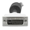 Miniatyrbild 3 av 3: 2 m DVI-D Dual Link-kabel - M / M - 2560 x 1600 - DVI till DVI-kabel för digital skärm - M / M - 2560 x 1600 - DVIDDMM2M