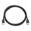 Miniatyrbild 1 av 2: HP skärmkompatibel kabelsats - DisplayPort (M) till DisplayPort (M) - 2 m