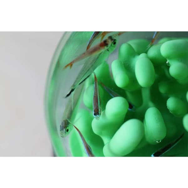 Polymaker PJ01011 PolySmooth 3D-skrivare Filament PVB kan poleras 1.75 mm 750 g Transparent 1 st