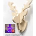 Pikkukuva 7 / 11: Creality Laser Falcon Engraver-10W -laserkaiverrin