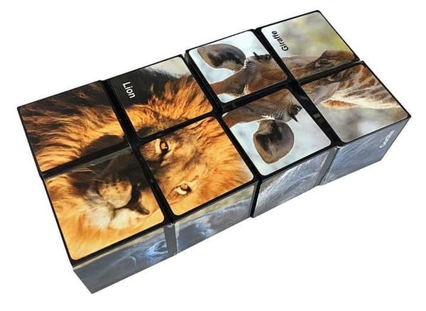 Starcube Wildlife Fidget Cube