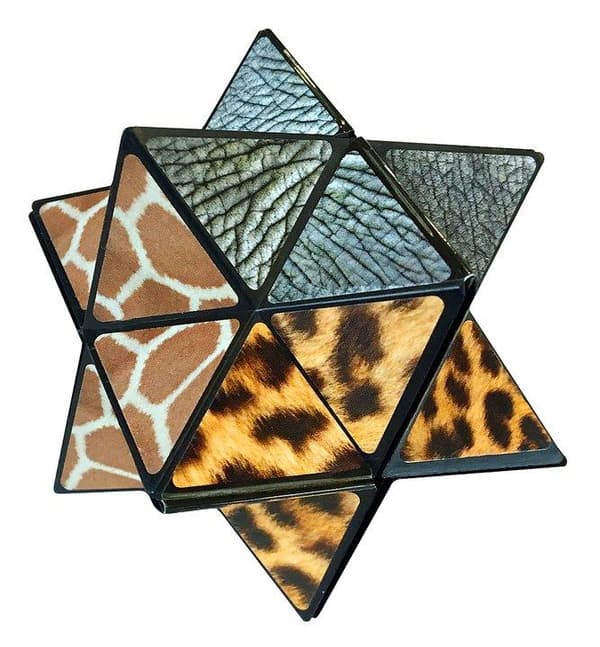 Starcube Wildlife Fidget Cube