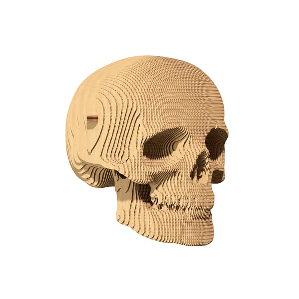 Cartonic 3D Pussel Döskalle