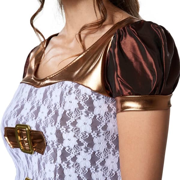 Steampunk Lady kostume