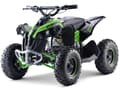 Miniatyrbild 1 av 9: EL ATV Renegade Brushless 1060W Cardan med dragkrok