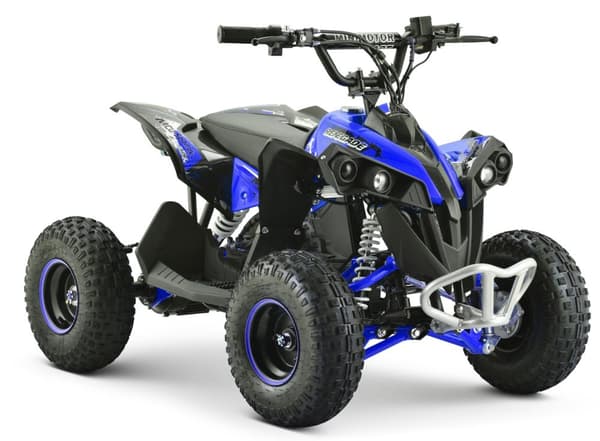 EL ATV Renegade Brushless 1200W 48V Cardan , blå