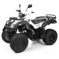 Miniatyrbild 2 av 8: ATV Arbetsfyrhjuling Shineray 250cc, 4x2 4-takt - Vit