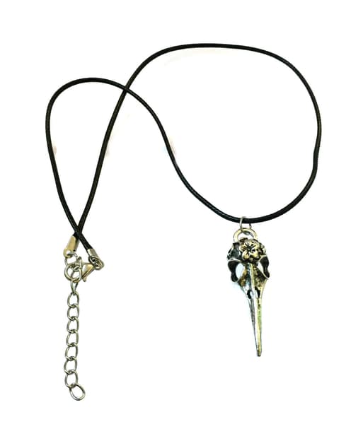 Necklace - Skull - Bird - Raven - Silver - Cord
