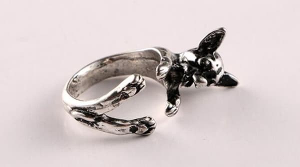 Ring - Chihuahua - Dog